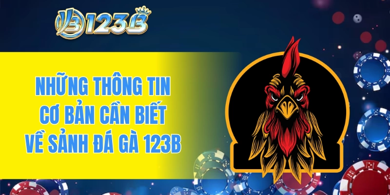 Những thông tin cơ bản cần biết về sảnh đá gà 123B